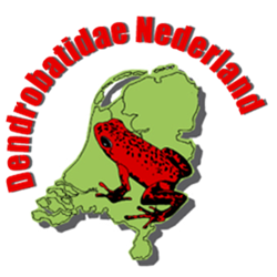 Dendrobatidae Nederland
